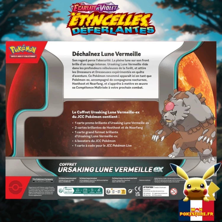 Pokemon Coffret Ursaking back