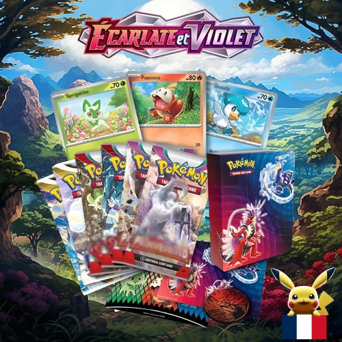 [EV01] - Valisette - Écarlate et Violet
