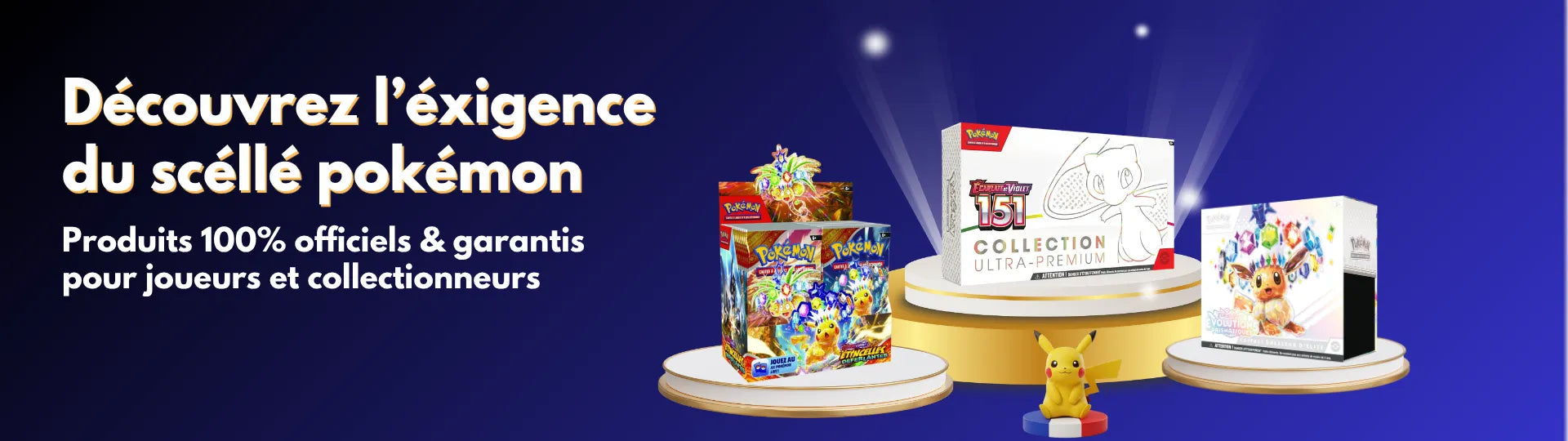 bannière d'ordinateur du site MonPokestore.fr